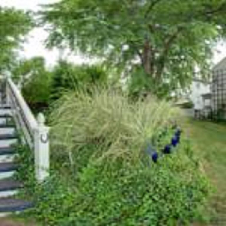 Lily Garden Bed&Breakfast Harpers Ferry Exterior foto
